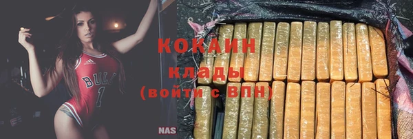 ПСИЛОЦИБИНОВЫЕ ГРИБЫ Дмитров
