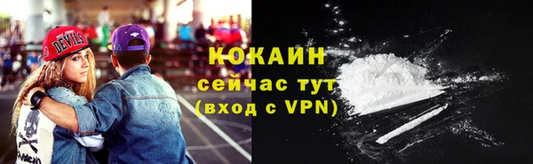 ПСИЛОЦИБИНОВЫЕ ГРИБЫ Дмитров