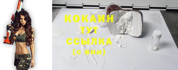 ПСИЛОЦИБИНОВЫЕ ГРИБЫ Дмитров