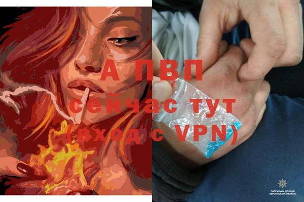 ПСИЛОЦИБИНОВЫЕ ГРИБЫ Дмитров
