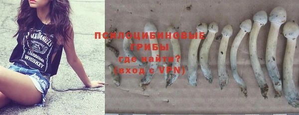 ПСИЛОЦИБИНОВЫЕ ГРИБЫ Дмитров