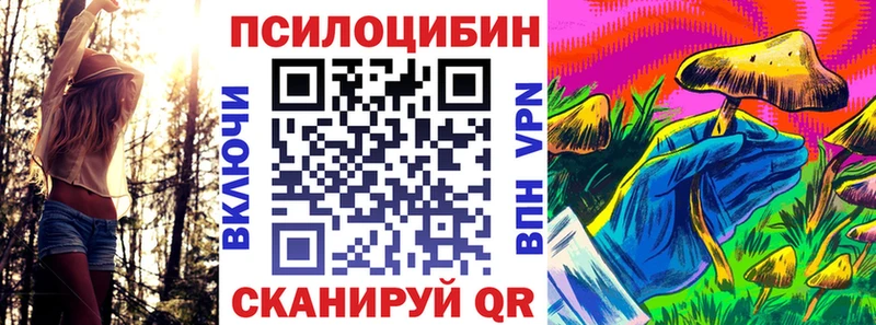 мега онион  Славск  Псилоцибиновые грибы GOLDEN TEACHER  купить  цена 