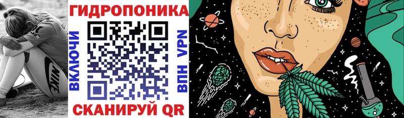 продажа наркотиков  Славск  Бошки марихуана планчик 